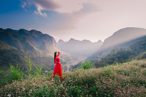 Cao nguyên đá Đồng Văn rực rỡ sắc hoa tam giác mạch - Ảnh 1. Cao nguyên đá Đồng Văn rực rỡ sắc hoa tam giác mạch - Ảnh 1.