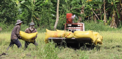 FTA Việt Nam - Anh: Doanh nghiệp Việt bớt 3.500 tỉ tiền thuế/năm - Ảnh 1. FTA Việt Nam - Anh: Doanh nghiệp Việt bớt 3.500 tỉ tiền thuế/năm - Ảnh 1.