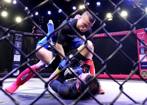 1.000 khán giả xem thi đấu thể thức MMA nghiệp dư tại Việt Nam - Ảnh 1. 1.000 khán giả xem thi đấu thể thức MMA nghiệp dư tại Việt Nam - Ảnh 1.