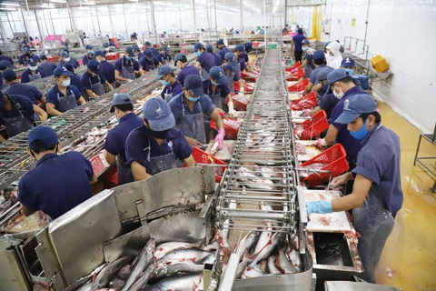 Cần mô hình phát triển mới cho ĐBSCL - Ảnh 1. Cần mô hình phát triển mới cho ĐBSCL - Ảnh 1.