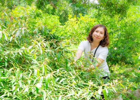 Cuốn… rau rừng gây thương nhớ - Ảnh 2. Cuốn… rau rừng gây thương nhớ - Ảnh 2.