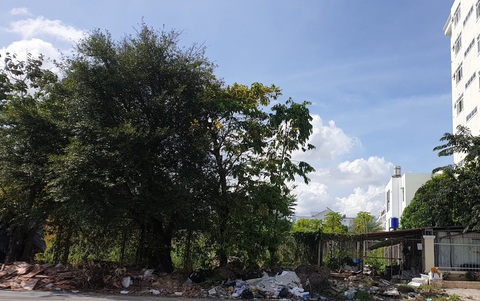 Tố cáo liên quan đến đấu giá hàng nghìn mét vuông ‘đất vàng’ của CADIF - Ảnh 1. Tố cáo liên quan đến đấu giá hàng nghìn mét vuông ‘đất vàng’ của CADIF - Ảnh 1.