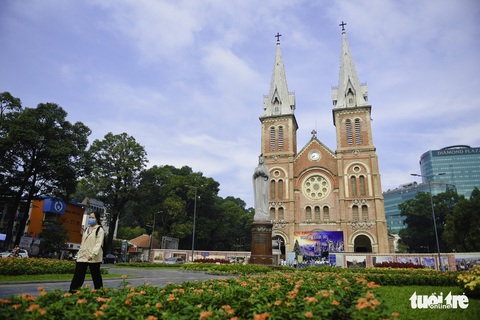 Tiết trời se lạnh, đường phố Sài Gòn rộ sắc hoa - Ảnh 3. Tiết trời se lạnh, đường phố Sài Gòn rộ sắc hoa - Ảnh 3.