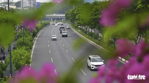 Tiết trời se lạnh, đường phố Sài Gòn rộ sắc hoa - Ảnh 9. Tiết trời se lạnh, đường phố Sài Gòn rộ sắc hoa - Ảnh 9.