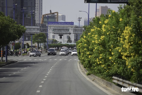 Tiết trời se lạnh, đường phố Sài Gòn rộ sắc hoa - Ảnh 1. Tiết trời se lạnh, đường phố Sài Gòn rộ sắc hoa - Ảnh 1.