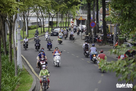 Tiết trời se lạnh, đường phố Sài Gòn rộ sắc hoa - Ảnh 4. Tiết trời se lạnh, đường phố Sài Gòn rộ sắc hoa - Ảnh 4.