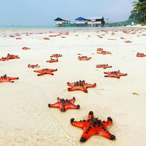 Tour Phú Quốc từ TP.HCM dưới 3 triệu đồng câu cá, lặn ngắm san hô - Ảnh 1. Tour Phú Quốc từ TP.HCM dưới 3 triệu đồng câu cá, lặn ngắm san hô - Ảnh 1.