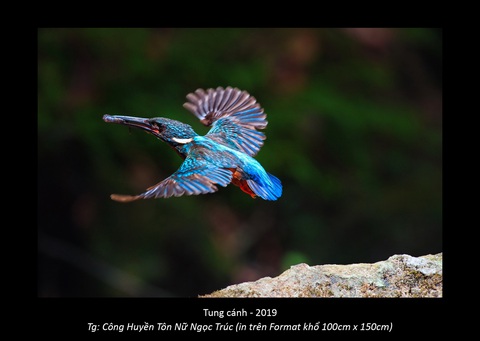 4 nghệ sĩ, nông dân, người bán lẩu dựng đường ảnh Dalat Harmony - Ảnh 20.