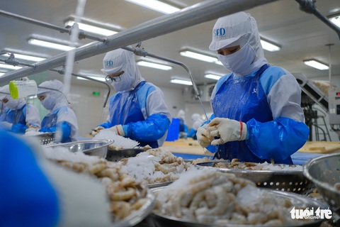 Đà Nẵng: Sau COVID-19, doanh nghiệp mỏi mắt tìm lao động - Ảnh 1. Đà Nẵng: Sau COVID-19, doanh nghiệp mỏi mắt tìm lao động - Ảnh 1.