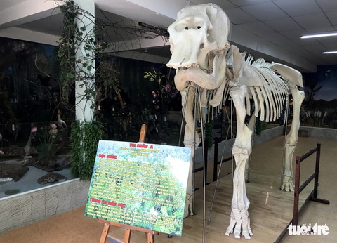 Những động vật bất tử ở Thảo cầm viên Sài Gòn - Ảnh 7. Những động vật bất tử ở Thảo cầm viên Sài Gòn - Ảnh 7.