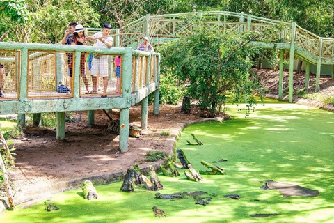 Suối khoáng nóng Minera Hot Springs Bình Châu rộn ràng đón Giáng sinh - Ảnh 6. Suối khoáng nóng Minera Hot Springs Bình Châu rộn ràng đón Giáng sinh - Ảnh 6.