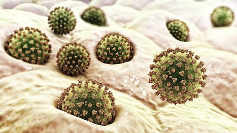 Sau vắc xin COVID-19, thế giới sẽ có vắc xin AIDS? - Ảnh 2. Sau vắc xin COVID-19, thế giới sẽ có vắc xin AIDS? - Ảnh 2.