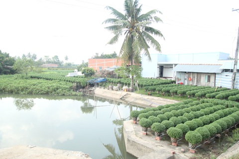 Các tỉnh miền Tây chủ động ứng phó áp thấp nhiệt đới suy yếu từ bão số 14 - Ảnh 1. Các tỉnh miền Tây chủ động ứng phó áp thấp nhiệt đới suy yếu từ bão số 14 - Ảnh 1.