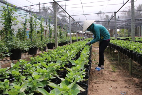 Các tỉnh miền Tây chủ động ứng phó áp thấp nhiệt đới suy yếu từ bão số 14 - Ảnh 3. Các tỉnh miền Tây chủ động ứng phó áp thấp nhiệt đới suy yếu từ bão số 14 - Ảnh 3.