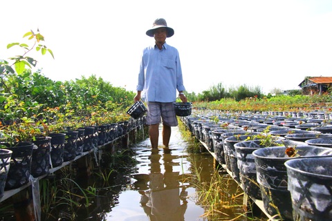 Các tỉnh miền Tây chủ động ứng phó áp thấp nhiệt đới suy yếu từ bão số 14 - Ảnh 4. Các tỉnh miền Tây chủ động ứng phó áp thấp nhiệt đới suy yếu từ bão số 14 - Ảnh 4.