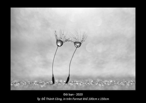 Dalat of Harmony: Tình yêu Đà Lạt trong chợ, trong sương - Ảnh 4. Dalat of Harmony: Tình yêu Đà Lạt trong chợ, trong sương - Ảnh 4.