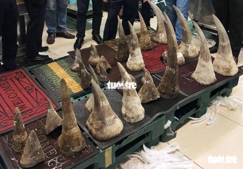 Bắt lô hàng ‘khủng’ 93kg nghi sừng tê giác ở khu vực Tân Sơn Nhất - Ảnh 2. Bắt lô hàng ‘khủng’ 93kg nghi sừng tê giác ở khu vực Tân Sơn Nhất - Ảnh 2.