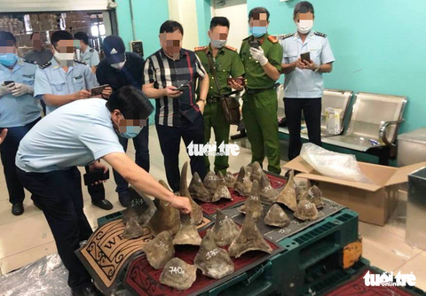 Bắt lô hàng ‘khủng’ 93kg nghi sừng tê giác ở khu vực Tân Sơn Nhất - Ảnh 1. Bắt lô hàng ‘khủng’ 93kg nghi sừng tê giác ở khu vực Tân Sơn Nhất - Ảnh 1.