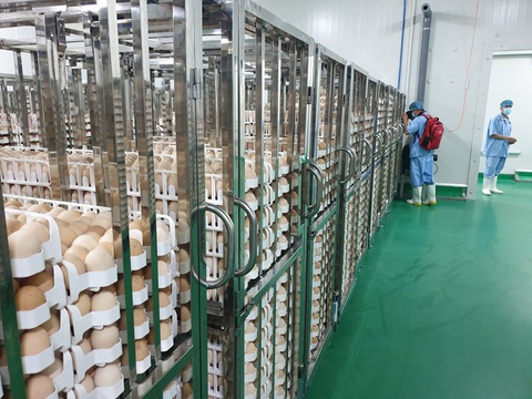 Việt Nam có nhà máy chế biến thịt gà xuất khẩu lớn nhất Đông Nam Á - Ảnh 1. Việt Nam có nhà máy chế biến thịt gà xuất khẩu lớn nhất Đông Nam Á - Ảnh 1.