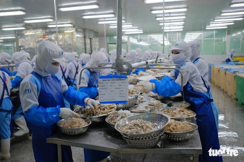 Đà Nẵng thu thuế giảm mạnh, chỉ đạt 70% dự toán năm 2020 - Ảnh 1. Đà Nẵng thu thuế giảm mạnh, chỉ đạt 70% dự toán năm 2020 - Ảnh 1.