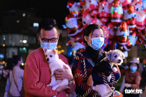 TP.HCM, Hà Nội lộng lẫy Noel, người người xuống phố - Ảnh 20. TP.HCM, Hà Nội lộng lẫy Noel, người người xuống phố - Ảnh 20.