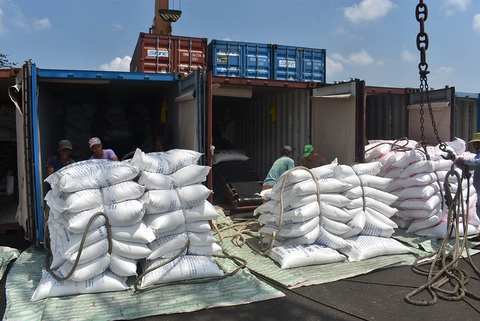 Chuyện khó tin: Xuất khẩu nông sản Việt giảm hơn một nửa vì thiếu... container - Ảnh 3. Chuyện khó tin: Xuất khẩu nông sản Việt giảm hơn một nửa vì thiếu... container - Ảnh 3.