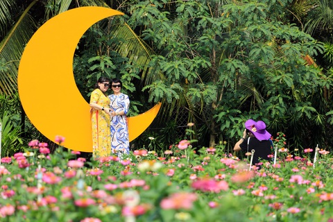 Say ngắm vườn hoa Đà Lạt nở rộ bên sông Sài Gòn - Ảnh 2. Say ngắm vườn hoa Đà Lạt nở rộ bên sông Sài Gòn - Ảnh 2.