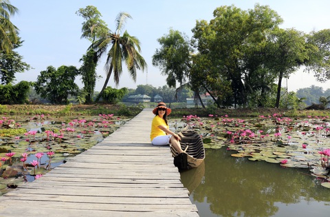 Say ngắm vườn hoa Đà Lạt nở rộ bên sông Sài Gòn - Ảnh 4. Say ngắm vườn hoa Đà Lạt nở rộ bên sông Sài Gòn - Ảnh 4.