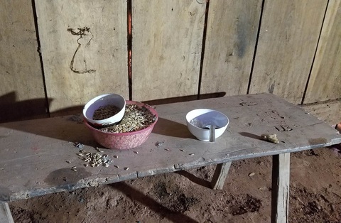 Phận đời mong manh như... lá ngón - Ảnh 2. Phận đời mong manh như... lá ngón - Ảnh 2.