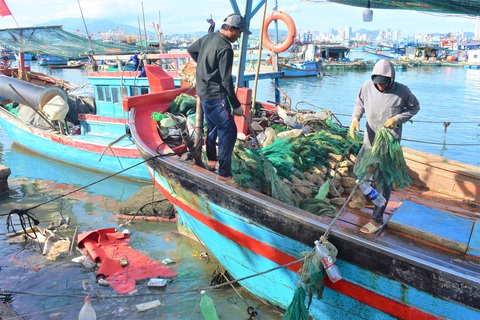 Săn tôm hùm nhí kiếm hàng chục triệu mỗi ngày - Ảnh 1. Săn tôm hùm nhí kiếm hàng chục triệu mỗi ngày - Ảnh 1.