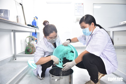 Chế túi giấy từ cây chuối của nhóm sinh viên TP.HCM - Ảnh 3. Chế túi giấy từ cây chuối của nhóm sinh viên TP.HCM - Ảnh 3.