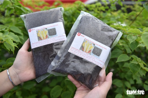 Chế túi giấy từ cây chuối của nhóm sinh viên TP.HCM - Ảnh 11. Chế túi giấy từ cây chuối của nhóm sinh viên TP.HCM - Ảnh 11.