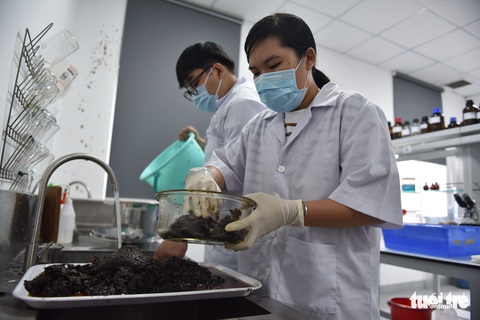 Chế túi giấy từ cây chuối của nhóm sinh viên TP.HCM - Ảnh 4. Chế túi giấy từ cây chuối của nhóm sinh viên TP.HCM - Ảnh 4.