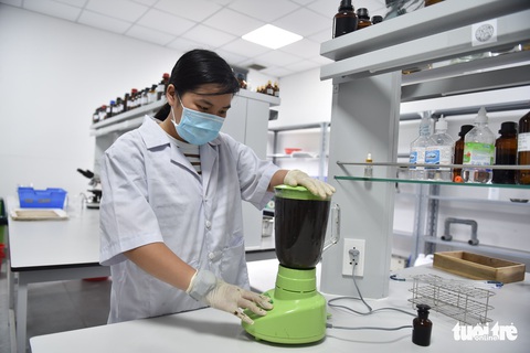 Chế túi giấy từ cây chuối của nhóm sinh viên TP.HCM - Ảnh 5. Chế túi giấy từ cây chuối của nhóm sinh viên TP.HCM - Ảnh 5.