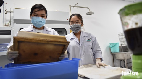 Chế túi giấy từ cây chuối của nhóm sinh viên TP.HCM - Ảnh 7. Chế túi giấy từ cây chuối của nhóm sinh viên TP.HCM - Ảnh 7.