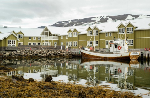 Iceland - Quốc gia chỉ có một con muỗi - Ảnh 1. Iceland - Quốc gia chỉ có một con muỗi - Ảnh 1.
