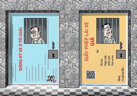 Xài bằng cấp giả, cà vẹt giả, đừng tưởng không... đi tù - Ảnh 1. Xài bằng cấp giả, cà vẹt giả, đừng tưởng không... đi tù - Ảnh 1.