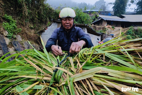Người dân co ro trong rét 3 độ C ở Sa Pa - Ảnh 8. Người dân co ro trong rét 3 độ C ở Sa Pa - Ảnh 8.