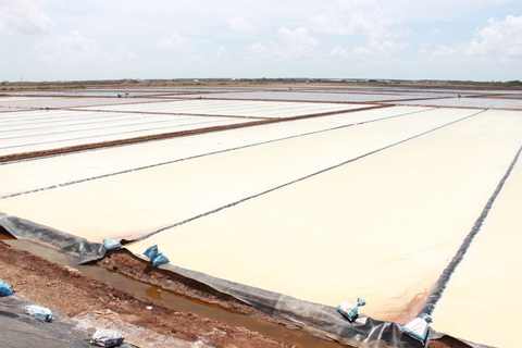 Nghề làm muối ở Bạc Liêu là di sản văn hóa phi vật thể quốc gia - Ảnh 1. Nghề làm muối ở Bạc Liêu là di sản văn hóa phi vật thể quốc gia - Ảnh 1.