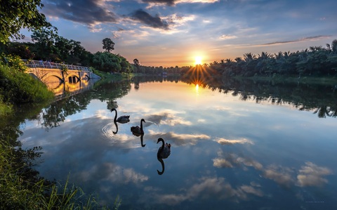 Ecopark được vinh danh khu đô thị tốt nhất châu Á - Ảnh 2. Ecopark được vinh danh khu đô thị tốt nhất châu Á - Ảnh 2.