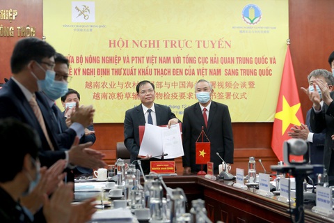 Việt Nam - Trung Quốc thiết lập đường dây nóng giải quyết ùn tắc nông sản - Ảnh 2. Việt Nam - Trung Quốc thiết lập đường dây nóng giải quyết ùn tắc nông sản - Ảnh 2.