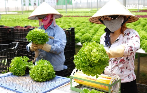 Ổn định giá, không để thiếu hàng hóa trong mùa dịch corona - Ảnh 2. Ổn định giá, không để thiếu hàng hóa trong mùa dịch corona - Ảnh 2.