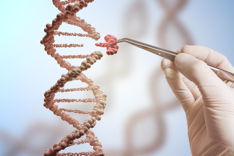 Cột mốc mới trong chỉnh sửa gene CRISPR chống ung thư - Ảnh 1. Cột mốc mới trong chỉnh sửa gene CRISPR chống ung thư - Ảnh 1.