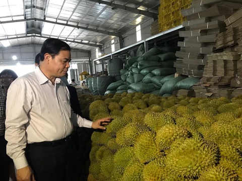Sau giải cứu, cần cân đối lại diện tích trồng nông sản - Ảnh 1. Sau giải cứu, cần cân đối lại diện tích trồng nông sản - Ảnh 1.