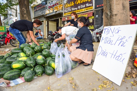 tang dua mien phi - n tang dua mien phi - n