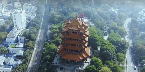Tuế Tuế bình an: Mỗi bài hát như cái ôm giữa mùa dịch corona đen tối - Ảnh 3. Tuế Tuế bình an: Mỗi bài hát như cái ôm giữa mùa dịch corona đen tối - Ảnh 3.