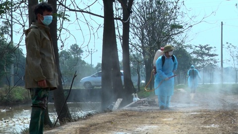 Bộ NN&PTNT ra công điện khẩn phòng chống cúm gia cầm lây sang người - Ảnh 1. Bộ NN&PTNT ra công điện khẩn phòng chống cúm gia cầm lây sang người - Ảnh 1.