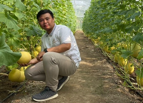 Trồng dưa lưới trên vùng đất mặn - Ảnh 1. Trồng dưa lưới trên vùng đất mặn - Ảnh 1.