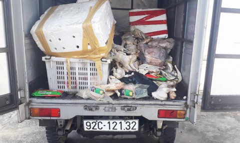 Xe tải chở thịt gà, heo thối đi đổ trộm bị bắt quả tang - Ảnh 1. Xe tải chở thịt gà, heo thối đi đổ trộm bị bắt quả tang - Ảnh 1.