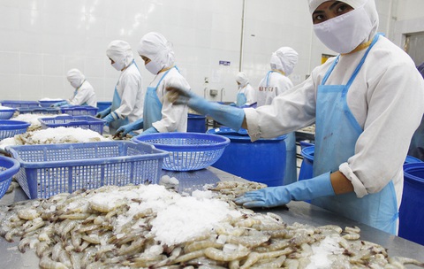Chính thức phê chuẩn EVFTA: Khởi đầu một giai đoạn mới - Ảnh 1. Chính thức phê chuẩn EVFTA: Khởi đầu một giai đoạn mới - Ảnh 1.
